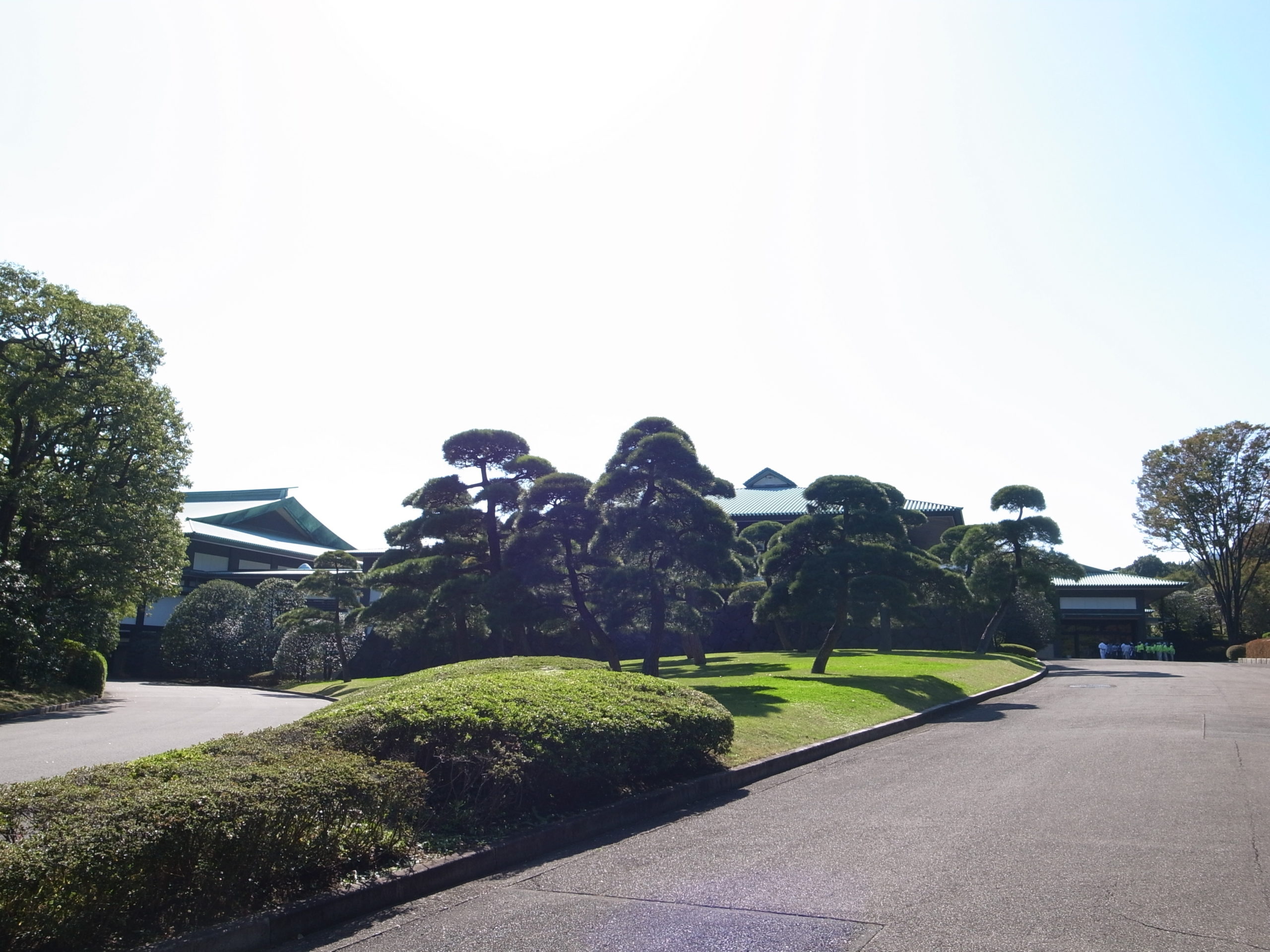 植木のお手入れ